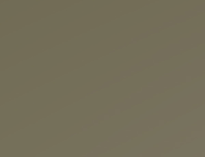 Additional Ambassadors